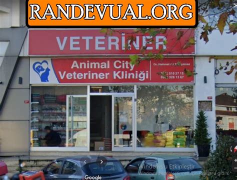 pendik animal city veteriner kliniği